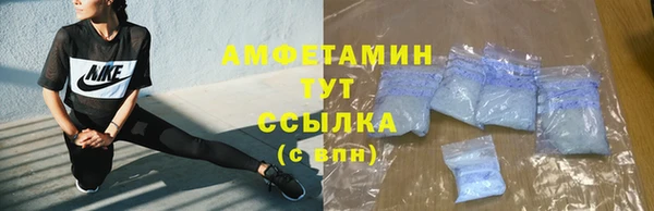 шишки Михайловск