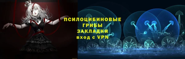 соль ск Армянск